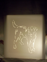 Любимая порода собак