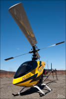 Шестисотый...