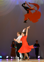 Кубок губернатора 2015