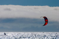 "Ловец чаек"