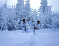 Синегорье 2012