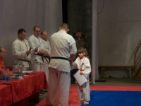 и вот прошел 5 чемпионат по киокушинкай.мы заняли первое место)