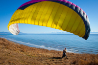 Укротитель стихии