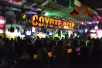 COYOTE UGLY