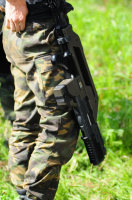 Имперская Гвардия