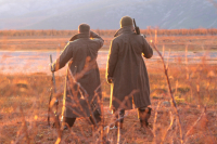 Гусь лети к нам ..