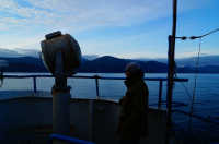 В навигацию