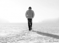 "... и только тень следовала за ним..."