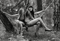 Вовку выгнали