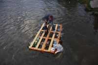 Буль-терьер