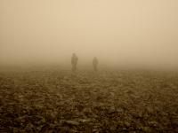 Геоёжики в тумане