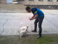 голодная компания