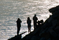 Силуэты на закате