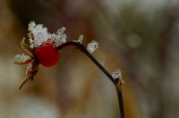 ледяные фигурки