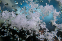 Фактуры осени на стёклах