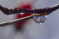 магия капли