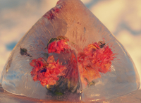 Цветы во льду