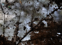 наш мир создан художником