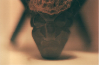 Огненный тоттем