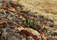 пробуждение