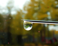 Другой взгляд