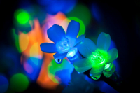 Июнь. Дощь. Электроцветы.