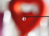 Сердце в капле