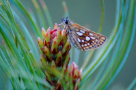 Вечер удался