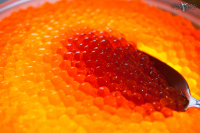 Север богат