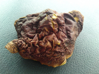 Отгадайте- что это?