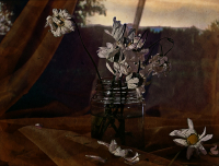 Я возьму тебя с собой, в зимние морозы…