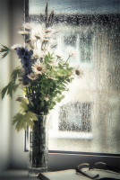 Осенний сон...