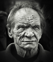 Проверенный товарищ