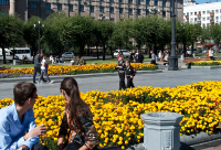 наши в городе