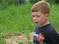 недовольство