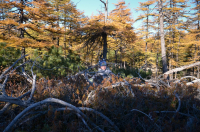 Найди ребенка.