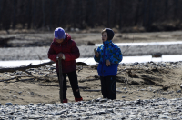 Меняю на палку.