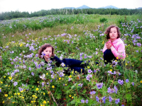 соленное.......