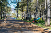 И не писай в мой горшок...