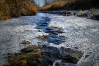 Сквозь Ледяную Пустоту Леса