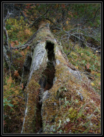 На пути Старости