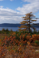 краски осени