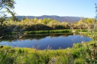 тихое местечко