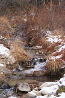 по дороге на КАПШу