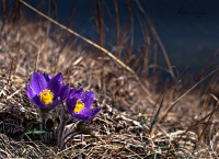 Скоро лето!!!