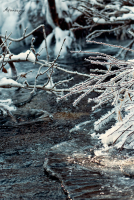 зимние узоры