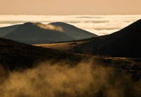 о туманах...