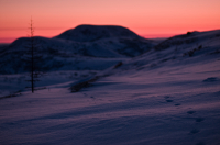 по звериным тропам...