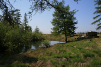 речка Попань