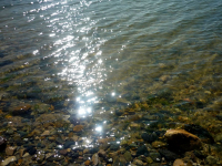 Всех с первым теплым летним днем!!